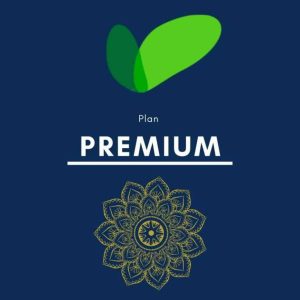 Publications Optimisées - Publier mon article ou ma vidéo