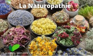 Naturopathie, méthode douce avec moyens naturels