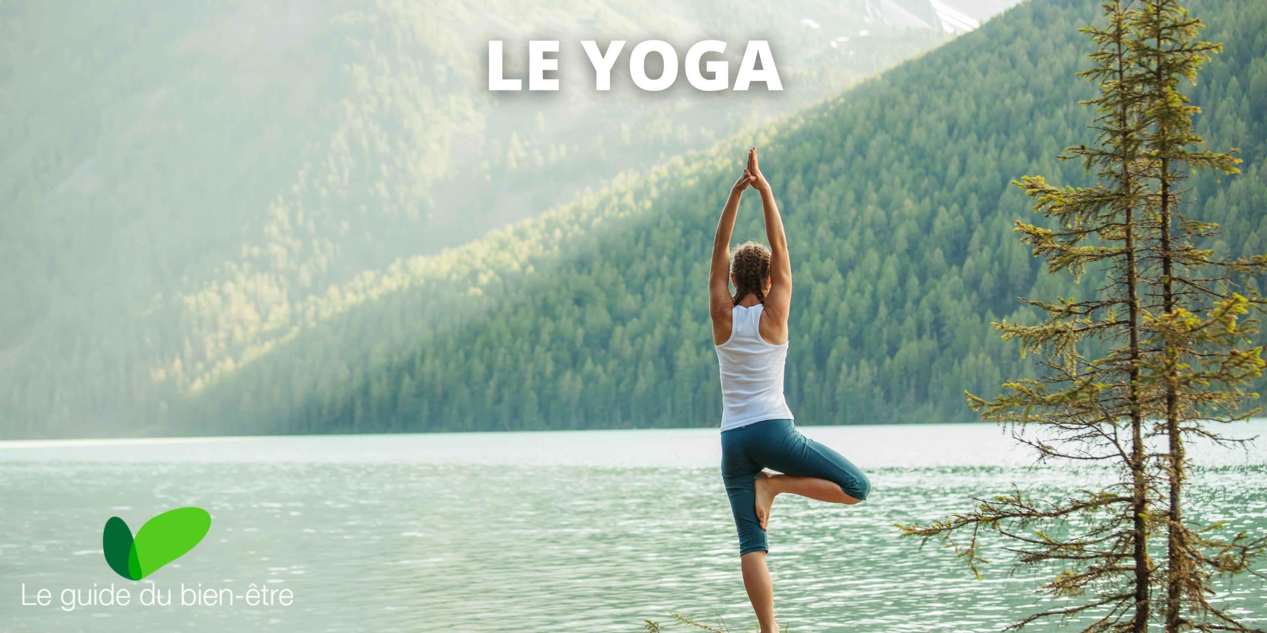 Pratique du Yoga, posture de l'arbre