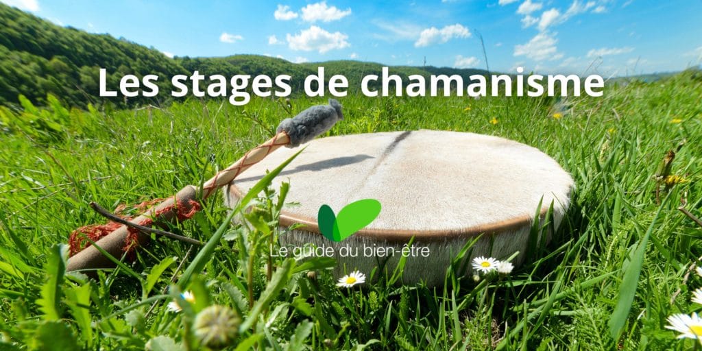 stages de chamanisme et chamaniquespour trouver son animal totem