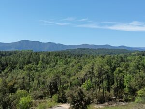 19 04 2024 paysage 4