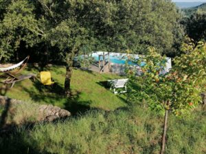 photos piscine sous les chenes